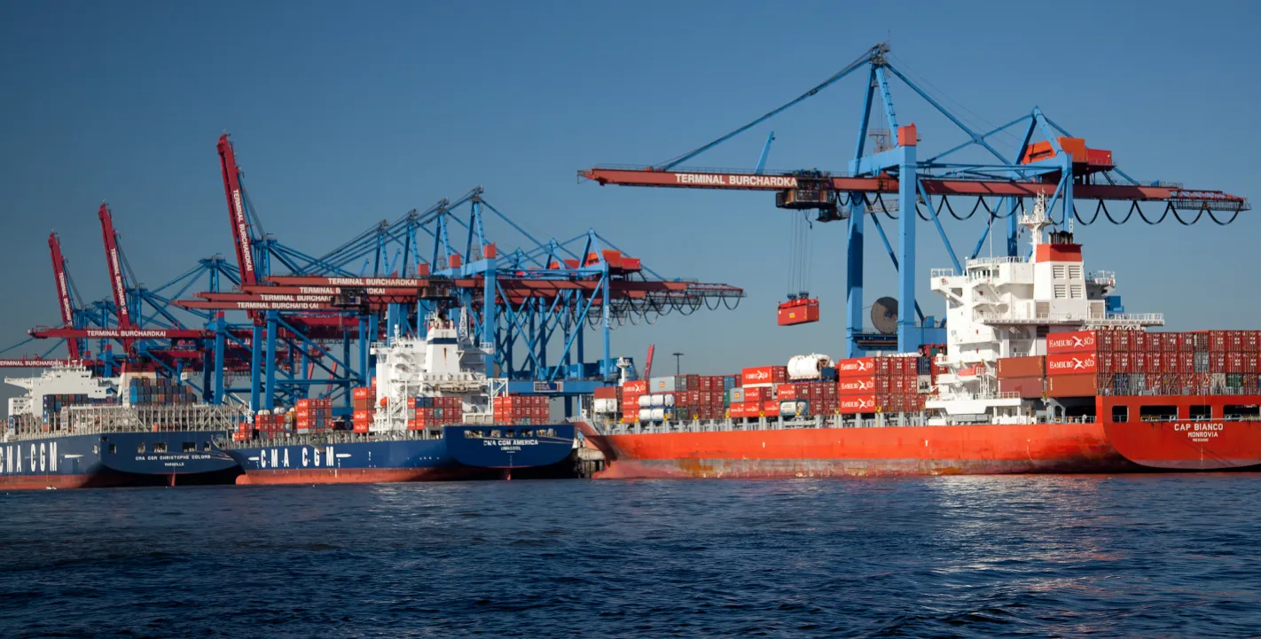 Containerschiffe an den Verladekranen des Terminals Burchardkai