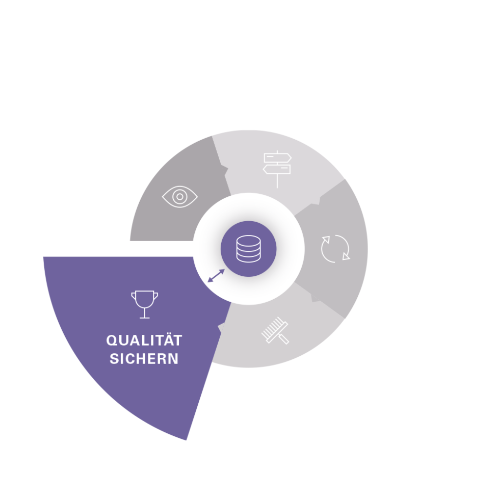Prozessdiagramm, Segment „Qualität sichern“ hervorgehoben