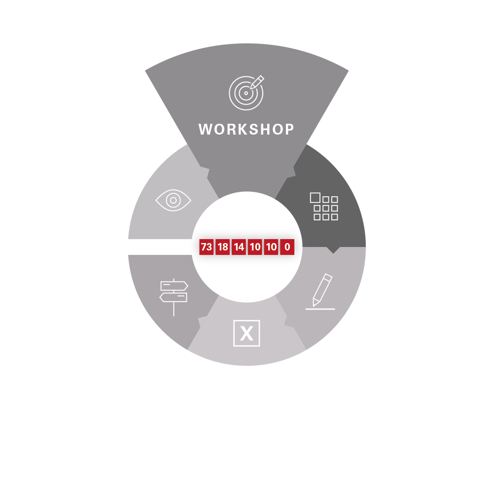 Infografik zur Phase „Workshop“ im Prozesskreislauf